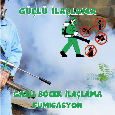 Gazlı Böcek İlaçlama