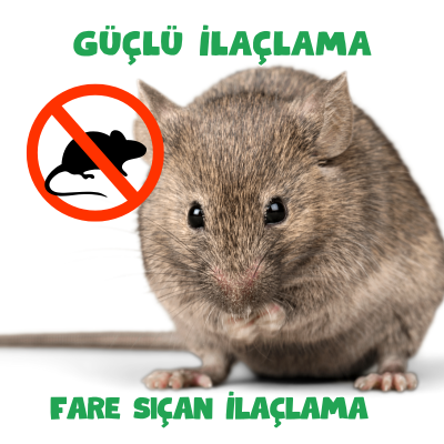 Haşere İlaçlama