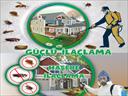 Profesyonel bir ekip eşliğinde Haşere İlaçlama satış ve montajını yapmaktayız.Fiyat almak için hemen arayın 0542 188 45 42