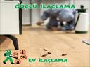 Profesyonel bir ekip eşliğinde Ev İlaçlama satış ve montajını yapmaktayız.Fiyat almak için hemen arayın 0542 188 45 42