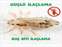 Profesyonel bir ekip eşliğinde Kuş Biti İlaçlama satış ve montajını yapmaktayız.Fiyat almak için hemen arayın 0542 188 45 42
