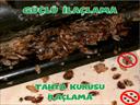 Profesyonel bir ekip eşliğinde Tahta Kurusu İlaçlama satış ve montajını yapmaktayız.Fiyat almak için hemen arayın 0542 188 45 42