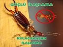 Profesyonel bir ekip eşliğinde Kulağakaçan İlaçlama satış ve montajını yapmaktayız.Fiyat almak için hemen arayın 0542 188 45 42