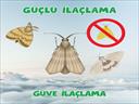 Profesyonel bir ekip eşliğinde Güve İlaçlama satış ve montajını yapmaktayız.Fiyat almak için hemen arayın 0542 188 45 42