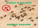 Profesyonel bir ekip eşliğinde Karınca İlaçlama satış ve montajını yapmaktayız.Fiyat almak için hemen arayın 0542 188 45 42
