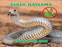 Profesyonel bir ekip eşliğinde Yılan İlaçlama satış ve montajını yapmaktayız.Fiyat almak için hemen arayın 0542 188 45 42