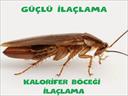 Profesyonel bir ekip eşliğinde Kalorifer Böceği İlaçlama satış ve montajını yapmaktayız.Fiyat almak için hemen arayın 0542 188 45 42