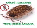 Profesyonel bir ekip eşliğinde Tespih Böceği İlaçlama satış ve montajını yapmaktayız.Fiyat almak için hemen arayın 0542 188 45 42